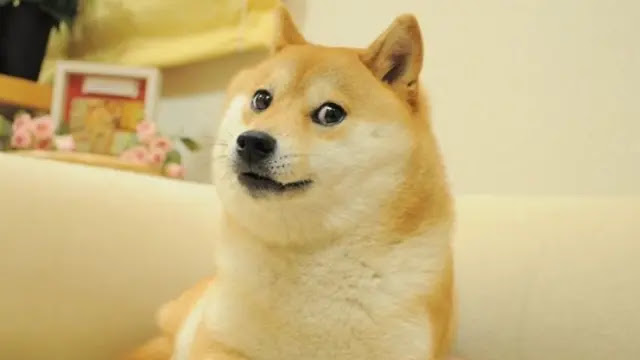 Doge